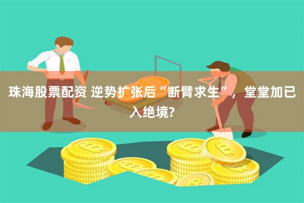 珠海股票配资 逆势扩张后“断臂求生”，堂堂加已入绝境?