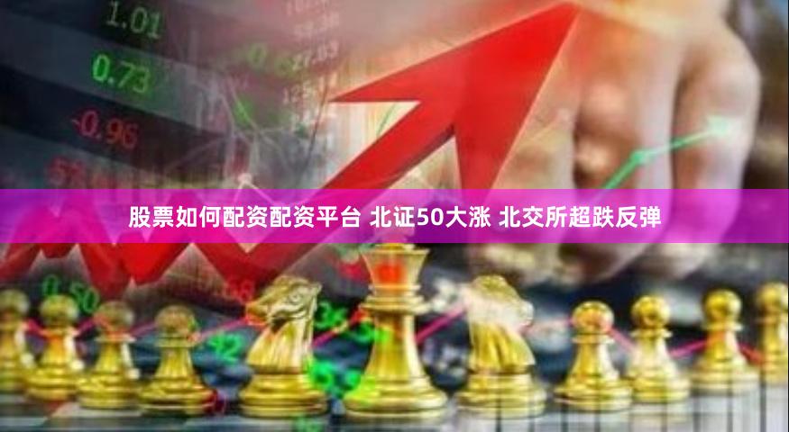 股票如何配资配资平台 北证50大涨 北交所超跌反弹