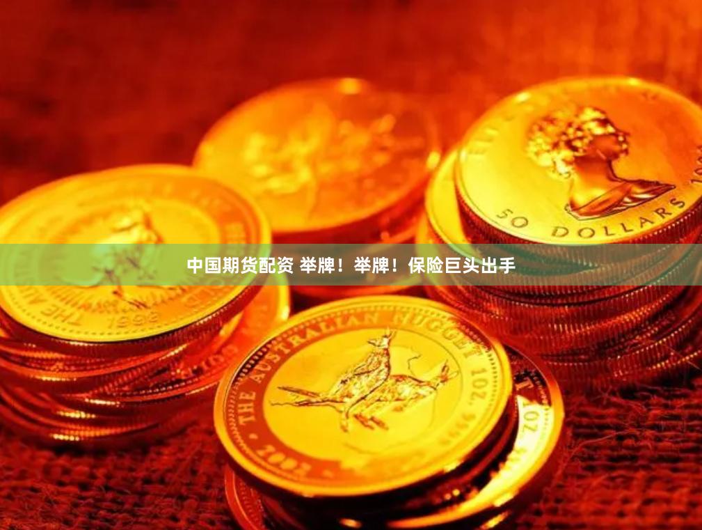 中国期货配资 举牌！举牌！保险巨头出手