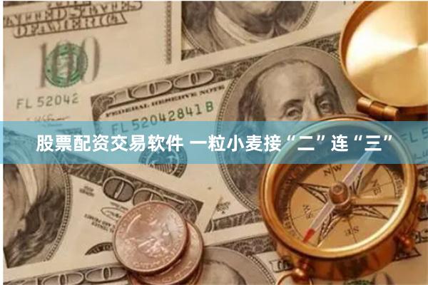 股票配资交易软件 一粒小麦接“二”连“三”
