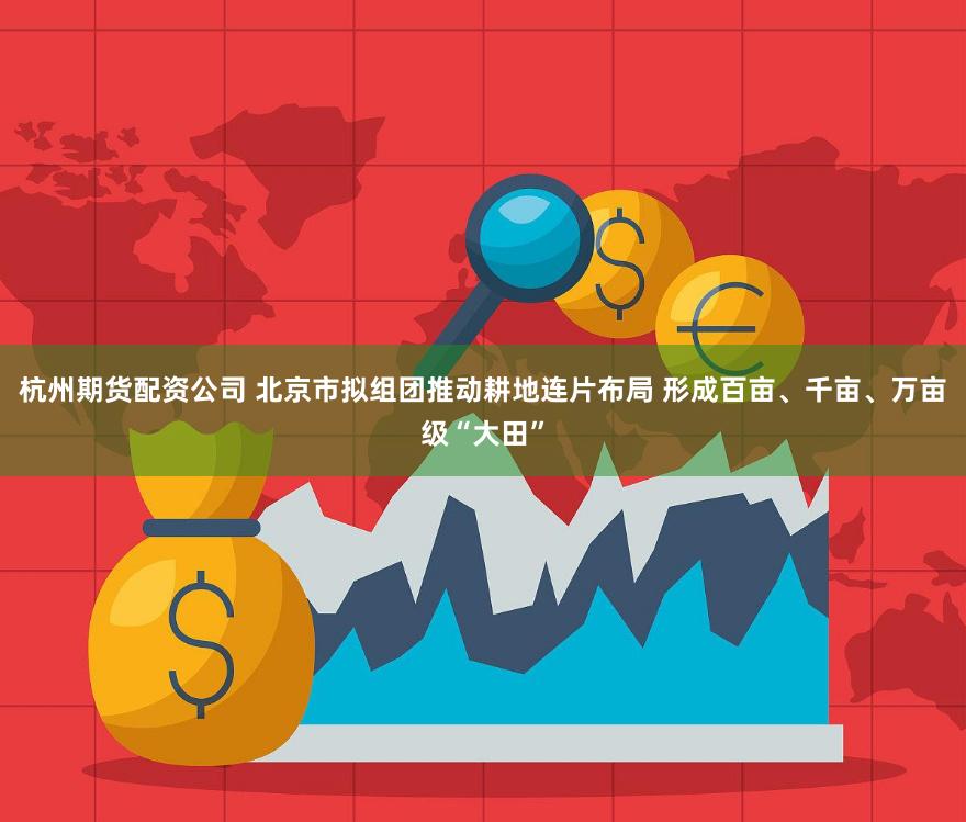杭州期货配资公司 北京市拟组团推动耕地连片布局 形成百亩、千亩、万亩级“大田”