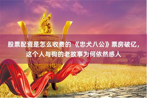 股票配资是怎么收费的 《忠犬八公》票房破亿，这个人与狗的老故事为何依然感人