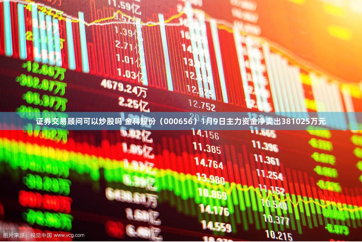 证券交易顾问可以炒股吗 金科股份（000656）1月9日主力资金净卖出381025万元